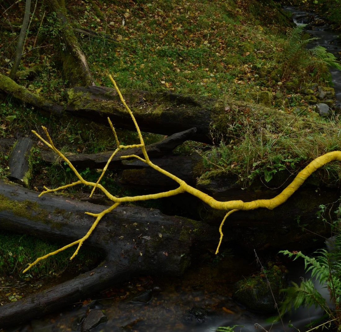 Being with soil, fungi and everything else