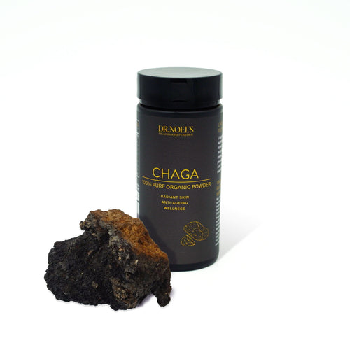 Concentrated Chaga Powder